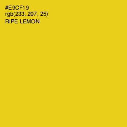 #E9CF19 - Ripe Lemon Color Image